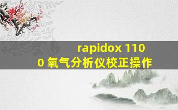 rapidox 1100 氧气分析仪校正操作